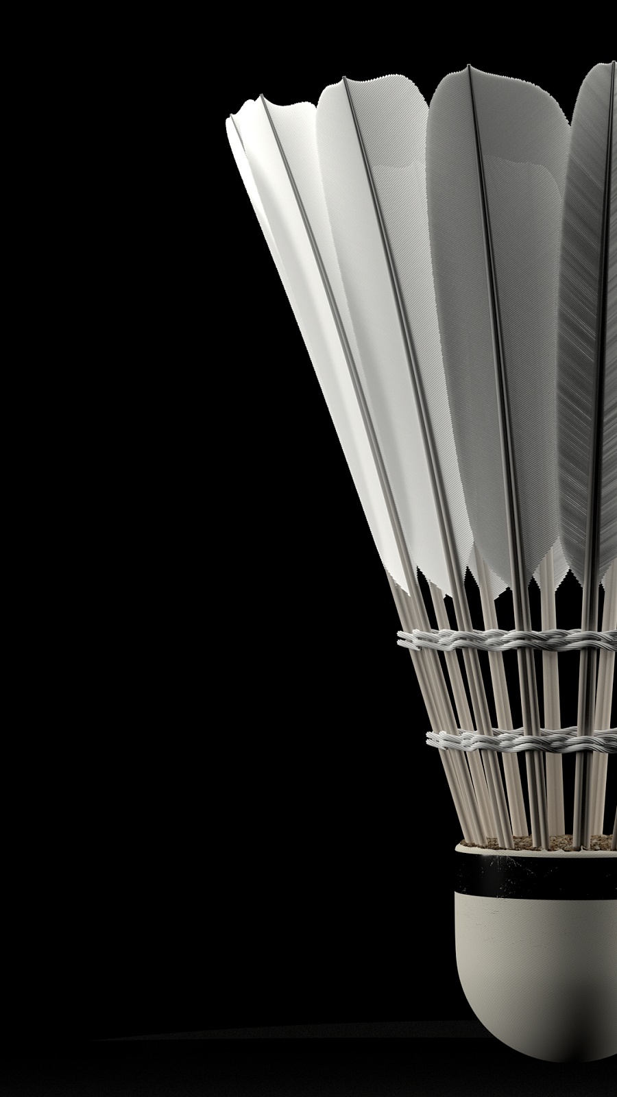 瞬间的荣耀 瞬间的荣耀